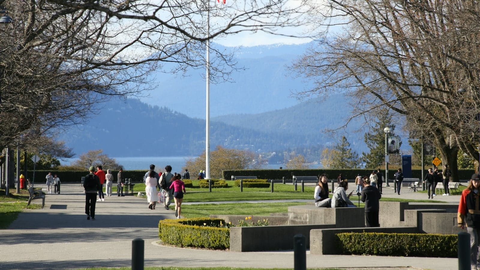 What the study permit rules mean for how you study in Canada