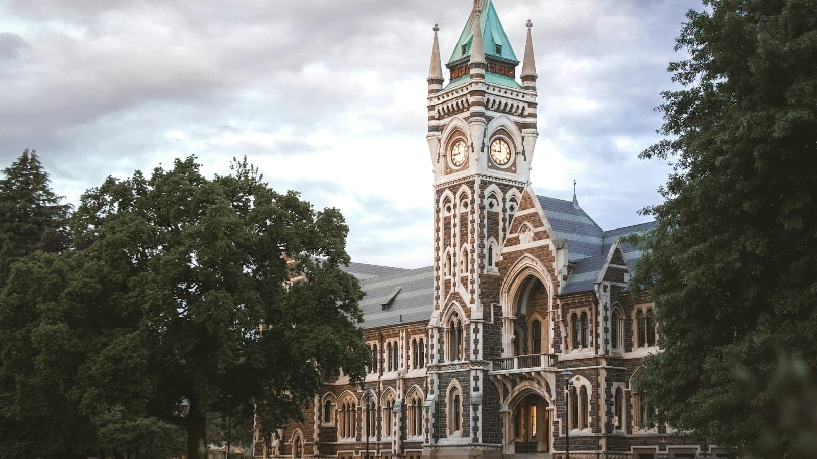 What do the rules ask of international students in New Zealand?