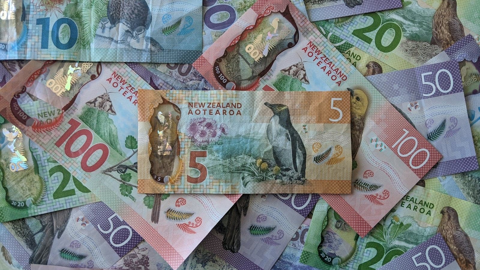 How the Student Allowance and Student Loan work in New Zealand
